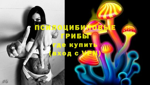 скорость Бородино